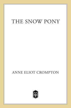 The Snow Pony