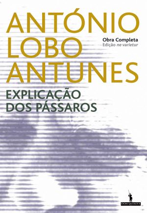Explicação dos Pássaros