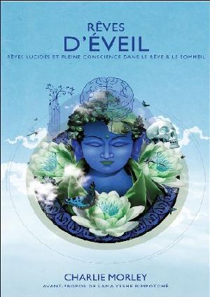 Rêves D'éveil · Rêves Lucides Et Pleine Conscience Dans Le Rêve & Le Sommeil