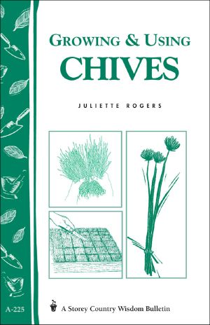 Growing & Using Chives