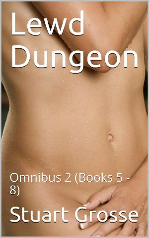 Lewd Dungeon: Omnibus 2 (Books 5 - 8)