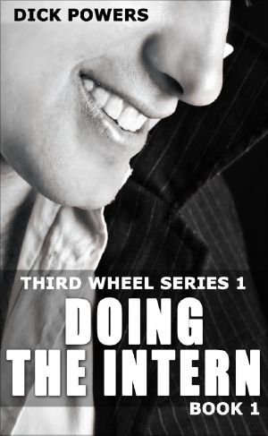 Doing the Intern (Third Wheel Series 1, Book 1)