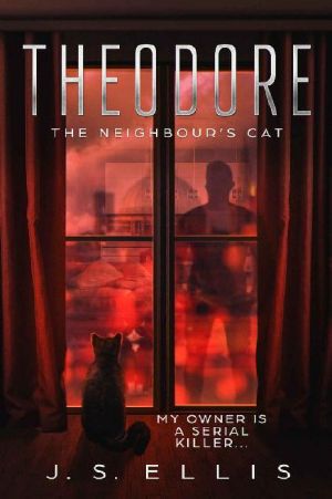 Theodore: The Neighbour's Cat