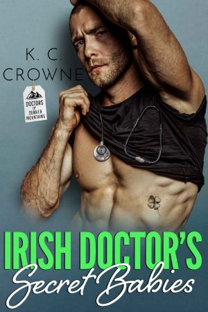 The Irish Doctor’s Secret Babies · A Secret Baby Romance