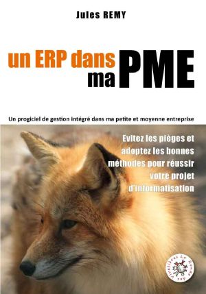 Un ERP dans ma PME