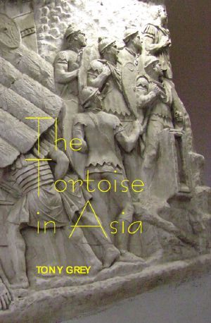 The Tortoise in Asia