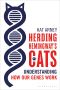 Herding Hemingway's Cats