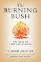 The Burning Bush