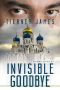 Invisible Goodbye (Enigma Series Book 7)