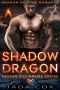 Shadow Dragon: Dragon Shifter Romance (Dragon Billionaire Empire Book 5)