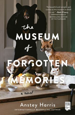 The Museum of Forgotten Memories, A Novel