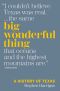 Big Wonderful Thing