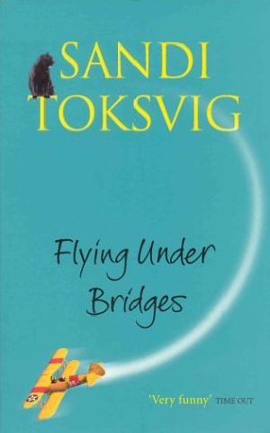 Flying Under Bridges