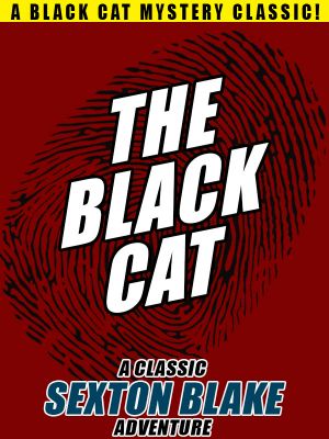 The Black Cat