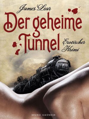 Der geheime Tunnel: Erotischer Krimi (Gay Erotic Mystery) (German Edition)