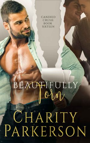 Beautifully Torn