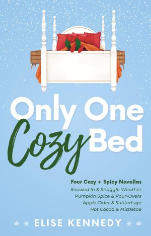 Only One Cozy Bed