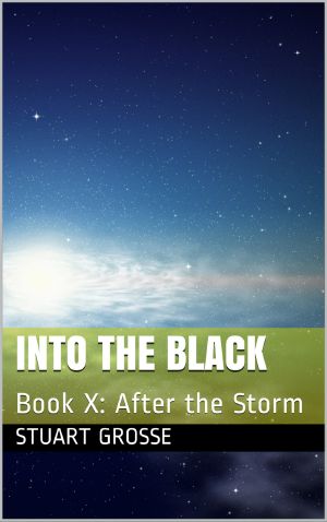 Into the Black: After the Storm 10