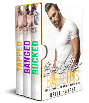 Blue Collar Bad Boys · Box Set 3