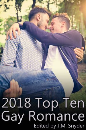 2018 Top Ten Gay Romance