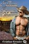 Texas Wild (Western Romance and Sex) (Western Romance)