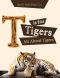 T Is for Tigers (All About Tigers)