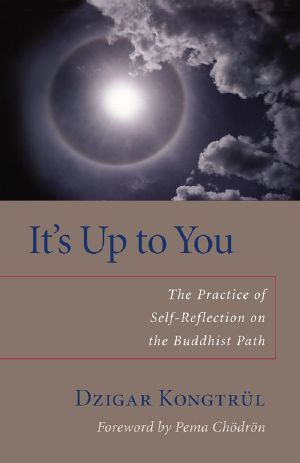 It's Up to You · The Practice of Self-Reflection on the Buddhist Path