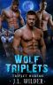 Wolf Triplets (Triplet Harems Book 3)