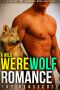 A Wild Werewolf Romance · HEA Gay MM First Time Paranormal Mpreg Knotting Mating