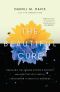 The Beautiful Cure