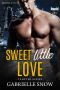 Sweet Little Love · The Billionaire's Next Door Neighbor (Tempted Book 4)