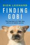 Finding Gobi