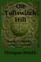 On Tollswitch Hill Stories from the Averraine Cycle