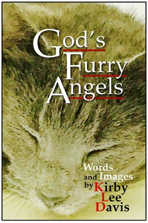 God's Furry Angels