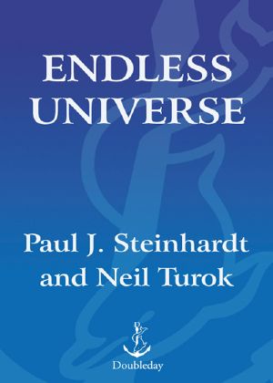 Endless Universe