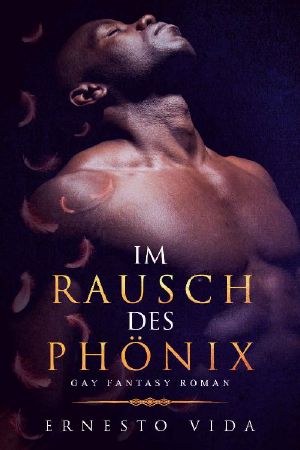 Im Rausch des Phönix: Gay Fantasy Roman