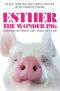 Esther the Wonder Pig · Changing the World One Heart at a Time