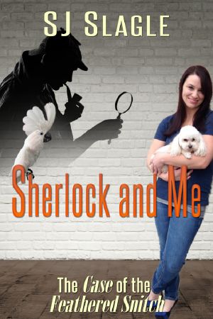 Sherlock and Me · The Case of the Feathered Snitch