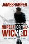 No Rest for the Wicked · an Evan Buckley Thriller (Evan Buckley Thrillers Book 4)