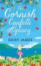 The Cornish Confetti Agency · A Gorgeously Uplifting Romantic Comedy and the Perfect Summer Read