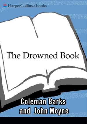 The Drowned Book