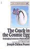 The Crack in the Cosmic Egg