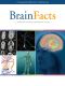 BrainFacts: A Primer on the Brain and Nervous System