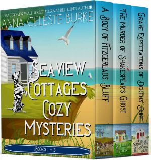 Seaview Cottages Cozy Mystery Series · Box Set 1-3