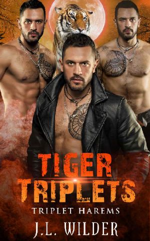 Tiger Triplets (Triplet Harems Book 5)