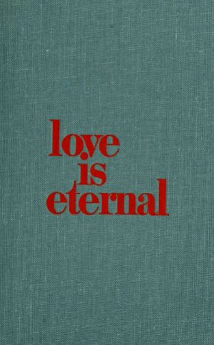 Love is eternal · A novel about Mary Todd Lincoln and Abraham Lincoln
