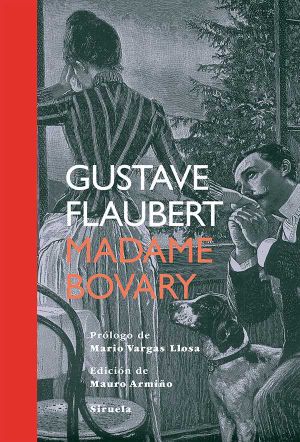 Madame Bovary · 15 (Tiempo De Clásicos)