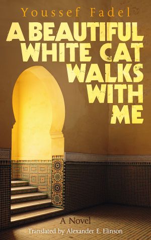 A Beautiful White Cat Walks With Me