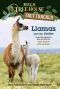 Llamas and the Andes, A nonfiction companion to Magic Tree House #34: Late Lunch with Llamas