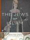 The Jews of Islam (Princeton Classics)